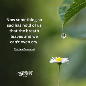 Now something so sad has hold of us that the breath leaves and we can't even cry.
