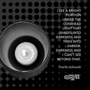 I see a bright portion under the overhead light that shades into darkness and then into darker darkness and I can't see beyond that.