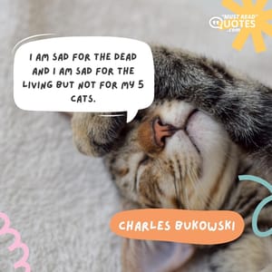 I am sad for the dead and I am sad for the living but not for my 5 cats.
