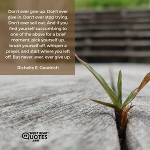 Don't ever give up. Don't ever give in. Don't ever stop trying. Don't ever sell out. And if you find yourself succumbing to one of the above for a brief moment, pick yourself up, brush yourself off, whisper a prayer, and start where you left off. But never, ever, ever give up.