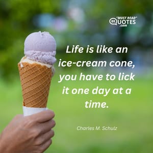 Life is like an ice-cream cone, you have to lick it one day at a time.
