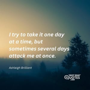 I try to take it one day at a time, but sometimes several days attack me at once.
