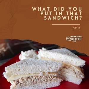 What did you put in that sandwich?