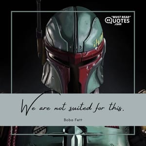 We are not suited for this.