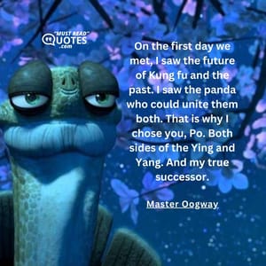 On the first day we met, I saw the future of Kung fu and the past. I saw the panda who could unite them both. That is why I chose you, Po. Both sides of the Ying and Yang. And my true successor.