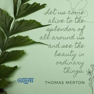 Let us come alive to the splendor of all around us and see the beauty in ordinary things.