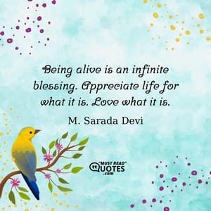 Being alive is an infinite blessing. Appreciate life for what it is. Love what it is.