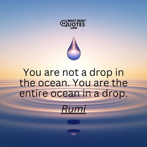 You are not a drop in the ocean. You are the entire ocean in a drop.