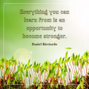 Everything you can learn from is an opportunity to become stronger.