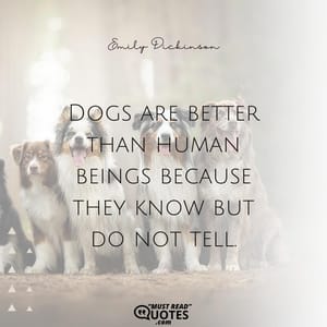 Dogs are better than human beings because they know but do not tell.