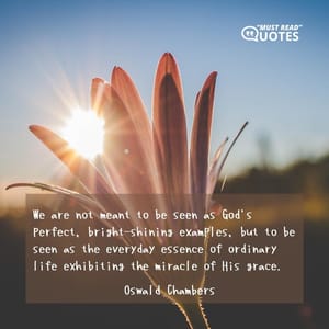 We are not meant to be seen as God's perfect, bright-shining examples, but to be seen as the everyday essence of ordinary life exhibiting the miracle of His grace.