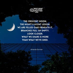 The crescent moon, The night’s lucent lesion. We are felled oaks beneath it, Branches full of empty. Look closer. What we share is more Than what we’ve shed.