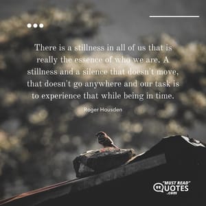 There is a stillness in all of us that is really the essence of who we are. A stillness and a silence that doesn't move, that doesn't go anywhere and our task is to experience that while being in time.