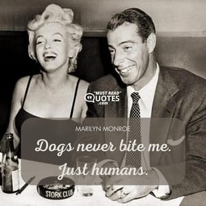 Dogs never bite me. Just humans.