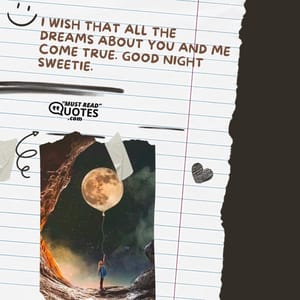 I wish that all the dreams about you and me come true. Good night sweetie.