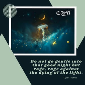Do not go gentle into that good night but rage, rage against the dying of the light.
