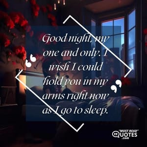 Good night, my one and only. I wish I could hold you in my arms right now as I go to sleep.