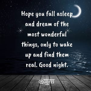 Hope you fall asleep and dream of the most wonderful things, only to wake up and find them real. Good night.