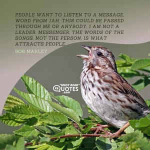 People want to listen to a message, word from Jah. This could be passed through me or anybody. I am not a leader. Messenger. The words of the songs, not the person, is what attracts people.
