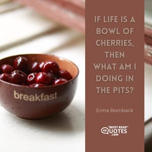 If life is a bowl of cherries, then what am I doing in the pits?
