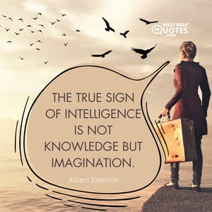 The true sign of intelligence is not knowledge but imagination.