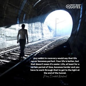 Any addict in recovery would say that life never becomes perfect. Your life is better, but that doesn't mean it's easier. Life, at least for a certain period of time, becomes harder and you have to work through that to get to the light at the end of the tunnel.