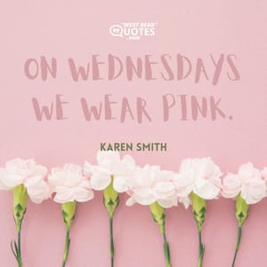 On Wednesdays we wear pink.
