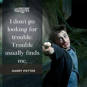 I don't go looking for trouble. Trouble usually finds me.