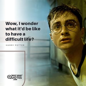 Wow, I wonder what it'd be like to have a difficult life?