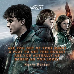 Are you out of your mind? A plot to get this house? Are you actually as stupid as you look?