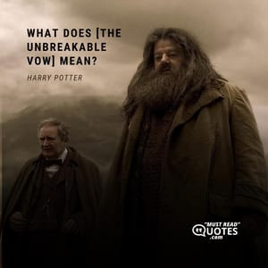 What does [the Unbreakable Vow] mean?