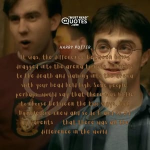 It was, the difference between being dragged into the arena to face a battle to the death and walking into the arena with your head held high. Some people, perhaps, would say that there was little to choose between the two ways, but Dumbledore knew — and so do I, and so did my parents — that there was all the difference in the world.