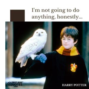 I'm not going to do anything, honestly...