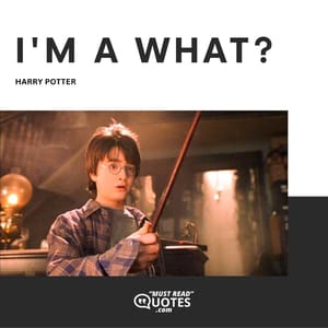 I'm a what?