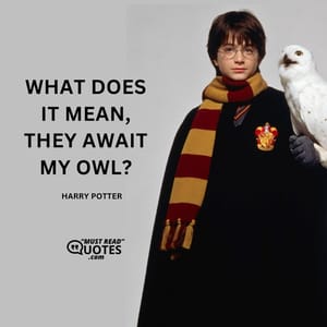 What does it mean, they await my owl?