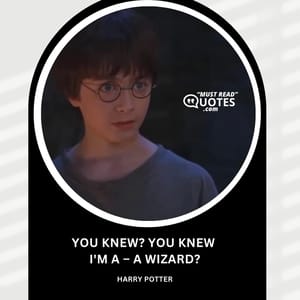 You knew? You knew I'm a – a wizard?