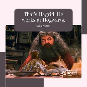 That's Hagrid. He works at Hogwarts.
