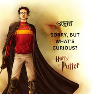 Sorry, but what's curious?