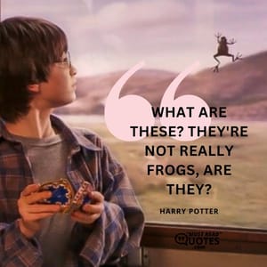 What are these? They're not really frogs, are they?