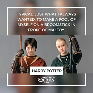 Typical. Just what I always wanted. To make a fool of myself on a broomstick in front of Malfoy.