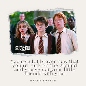 You're a lot braver now that you're back on the ground and you've got your little friends with you.