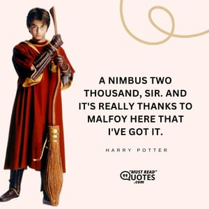 A Nimbus Two Thousand, sir. And it's really thanks to Malfoy here that I've got it.