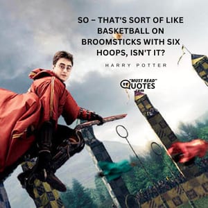 So – that's sort of like basketball on broomsticks with six hoops, isn't it?