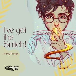 I've got the Snitch!