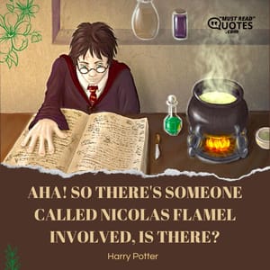 Aha! So there's someone called Nicolas Flamel involved, is there?