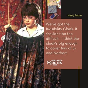 We've got the Invisibility Cloak. It shouldn't be too difficult – I think the cloak's big enough to cover two of us and Norbert.