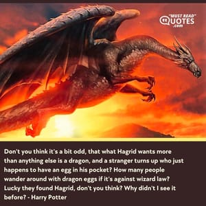 Don't you think it's a bit odd, that what Hagrid wants more than anything else is a dragon, and a stranger turns up who just happens to have an egg in his pocket? How many people wander around with dragon eggs if it's against wizard law? Lucky they found Hagrid, don't you think? Why didn't I see it before?