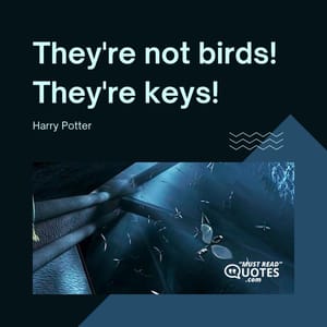 They're not birds! They're keys!