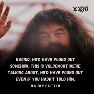 Hagrid, he'd have found out somehow, this is Voldemort we're talking about, he'd have found out even if you hadn't told him.