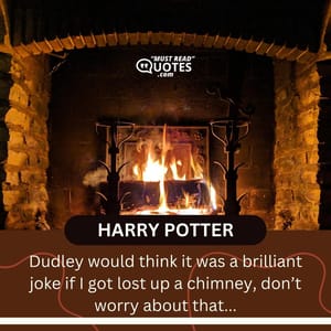 Dudley would think it was a brilliant joke if I got lost up a chimney, don’t worry about that...